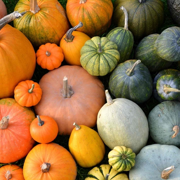 Meet your Posher, 💖 - Picture 6 of 14